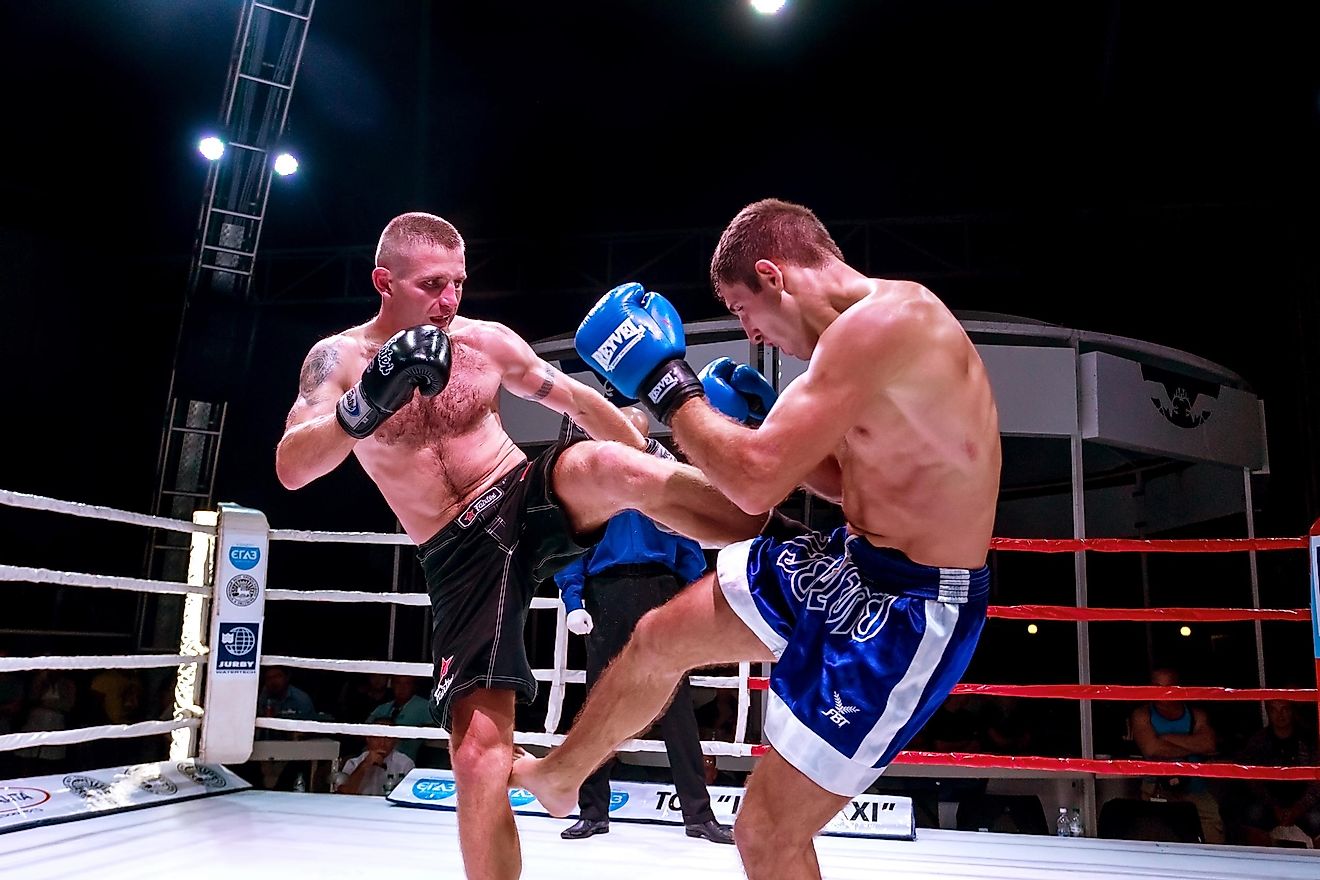 MMA mixed martial arts fighters compete in the ring.