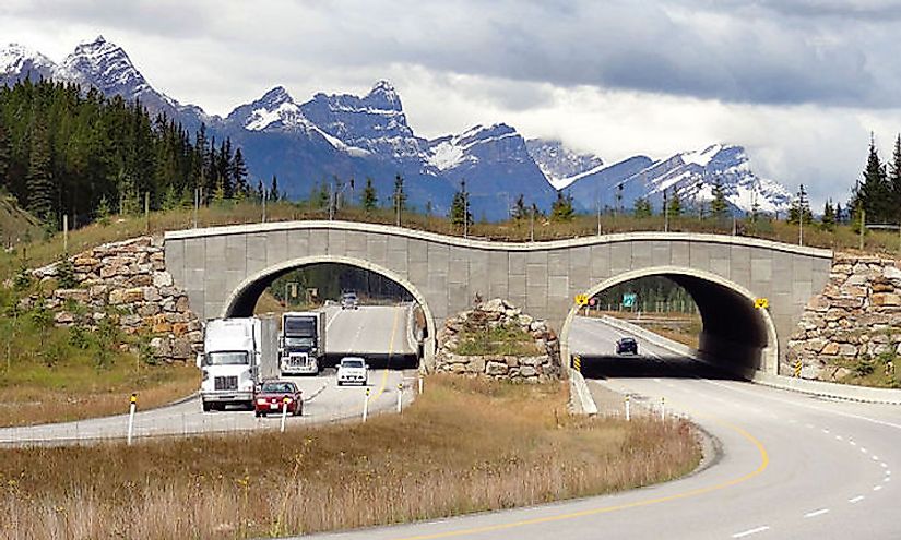 A wildlife overpass on the Trans-Canada Highway between Banff and Lake Louise, Alberta.