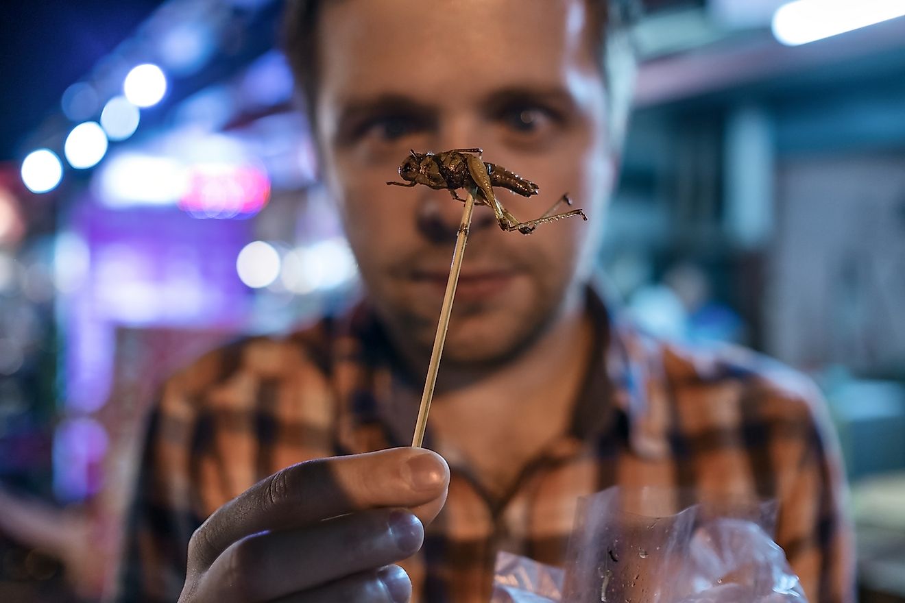 A man eating cricket at night market in Thailand. Image credit: Koldunova Anna/Shutterstock.com