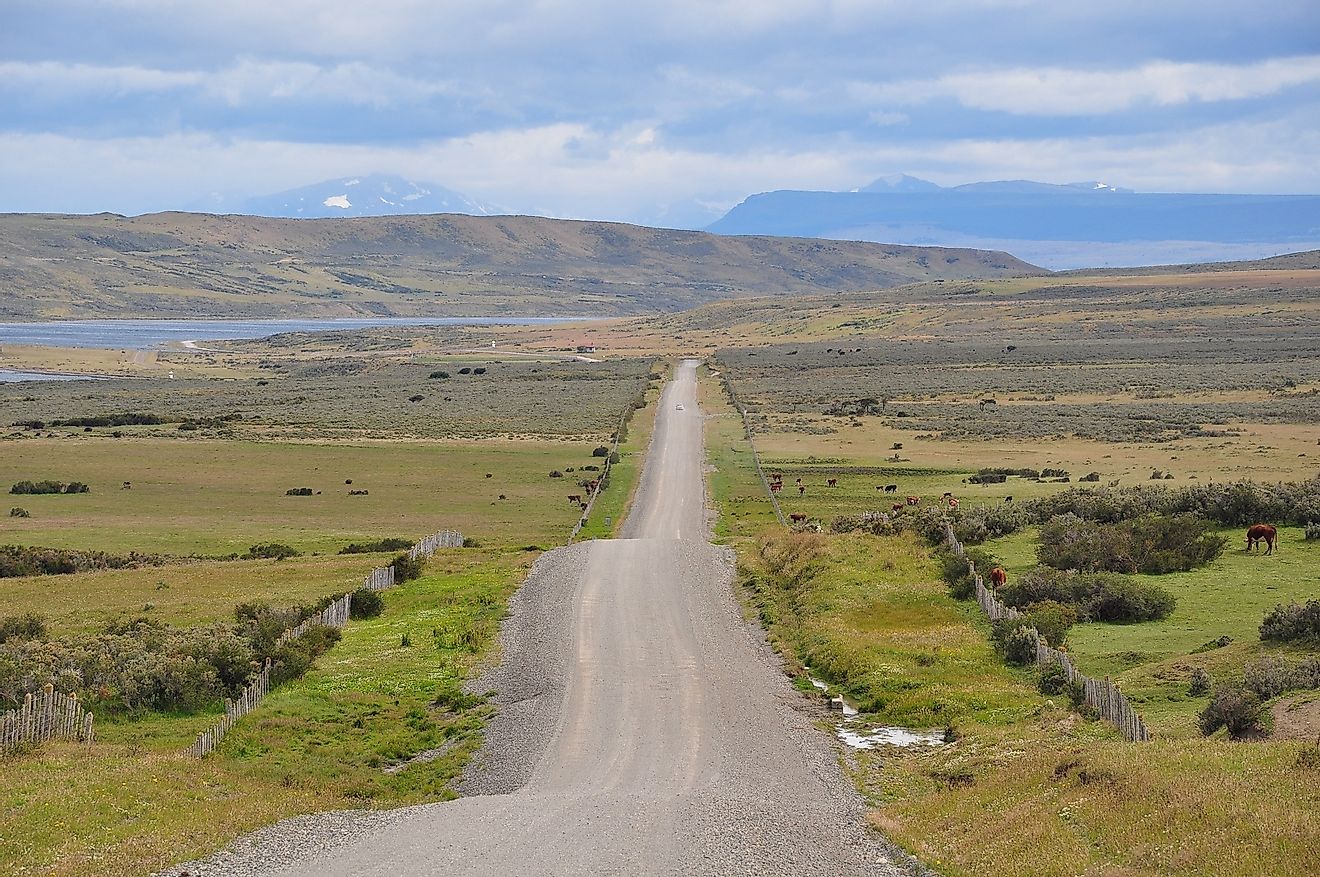 A metalled road running through a grassland in Patagonia, Chile.