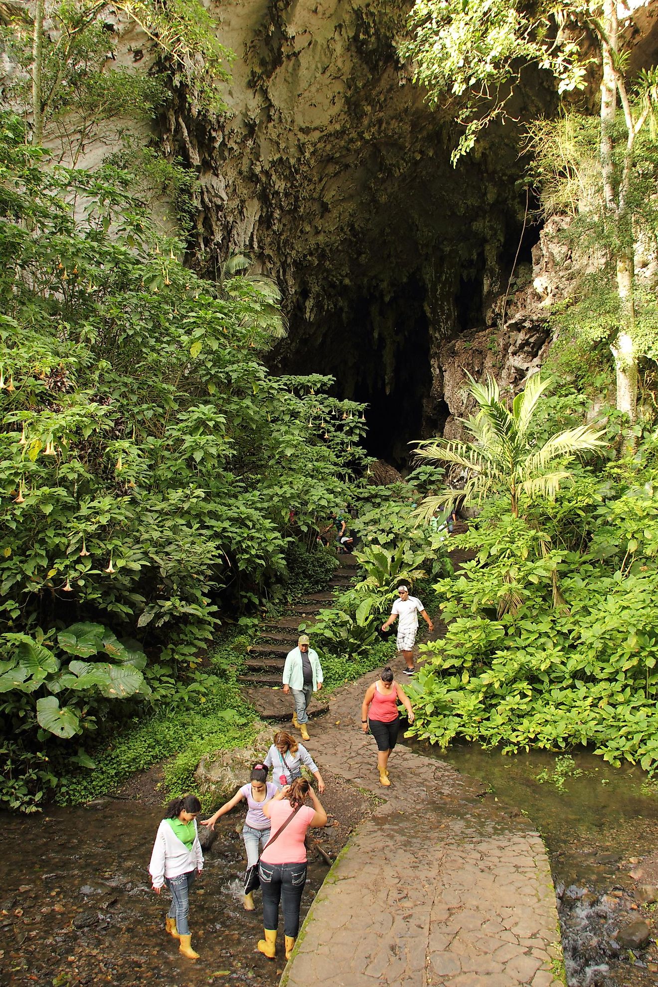 Entrance to Guacharo Cave and National Park located in Caripe, Monagas. Image credit: Edgloris Marys/Shutterstock.com