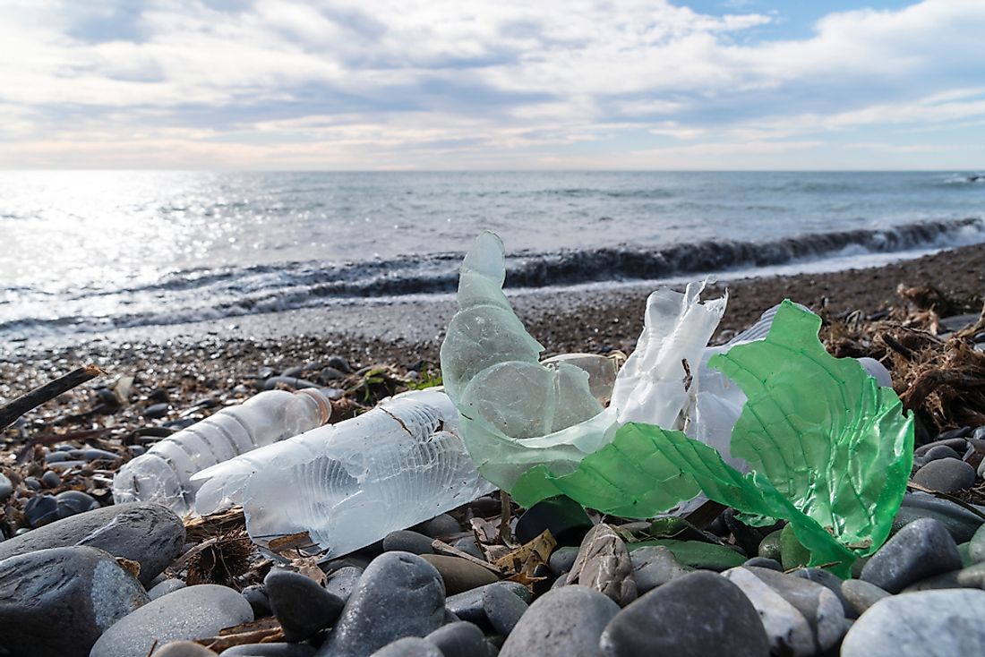 Plastic is one of the most common types of litter found on beaches. 