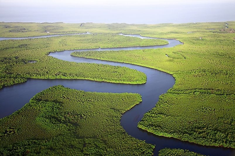 Thriving wetlands and forests along the Gambia River.