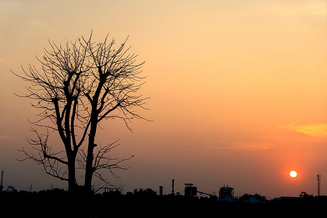 Dying trees is just one of the many ways climate change manifests itself. Photo credit: shutterstock.com.
