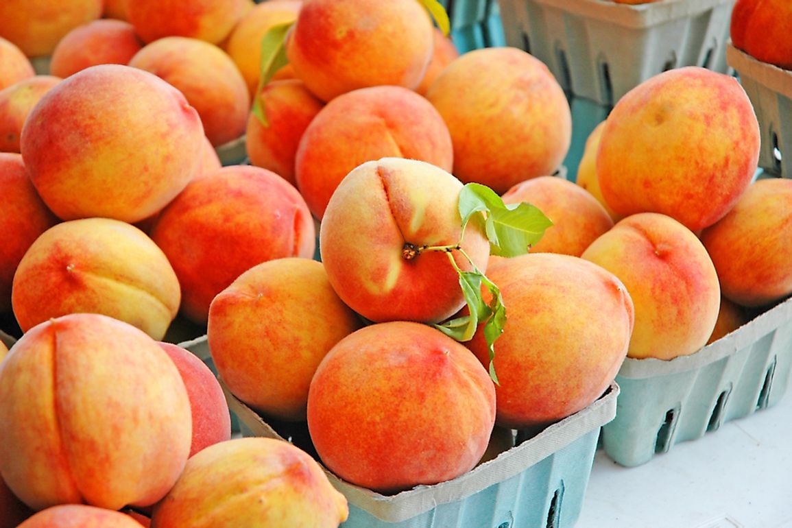 Peaches are Georgia's most famous export. 