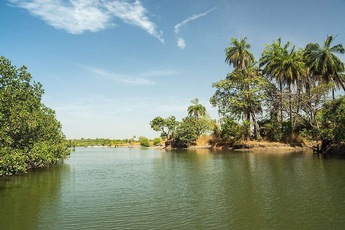 The Gambia River is an important part of the economy of the Gambia. 