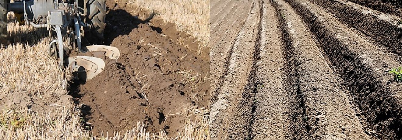 Furrowed field (right); tractor and plow in action (left).