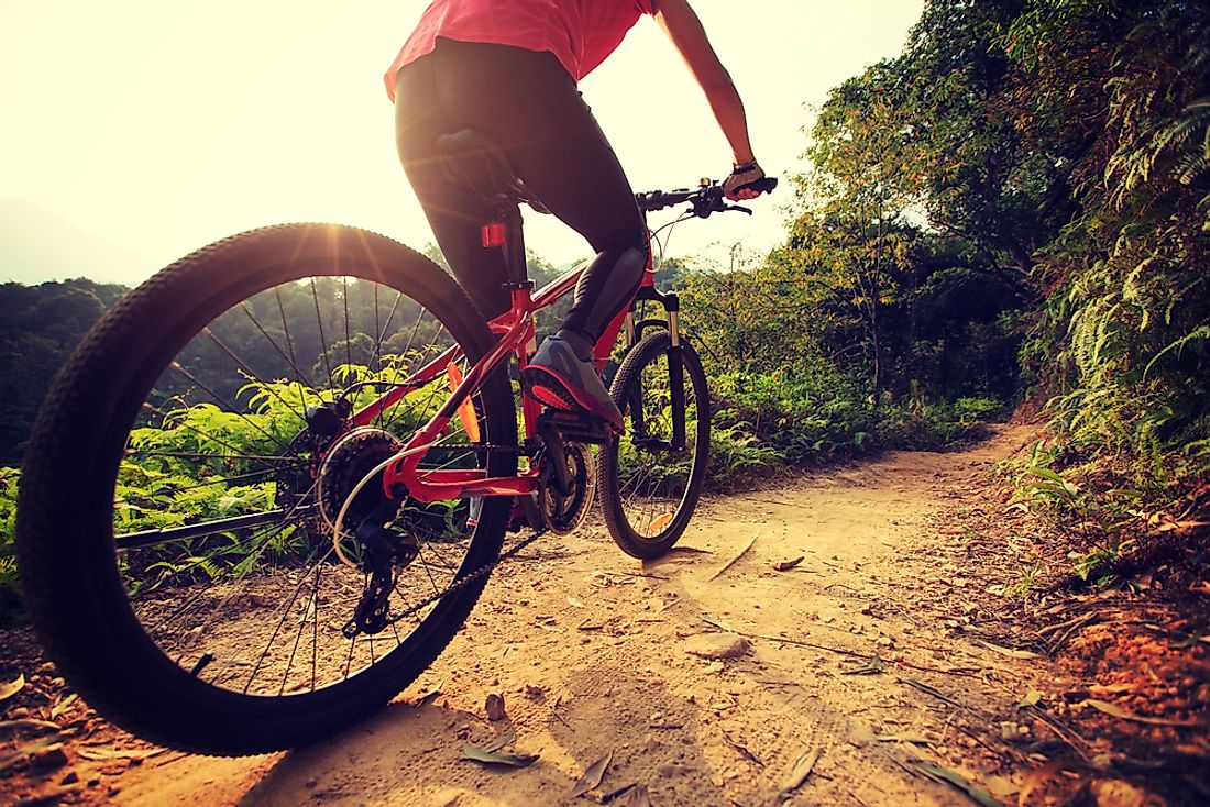 Mountain biking is not only fun, but also a fantastic form of exercise. 