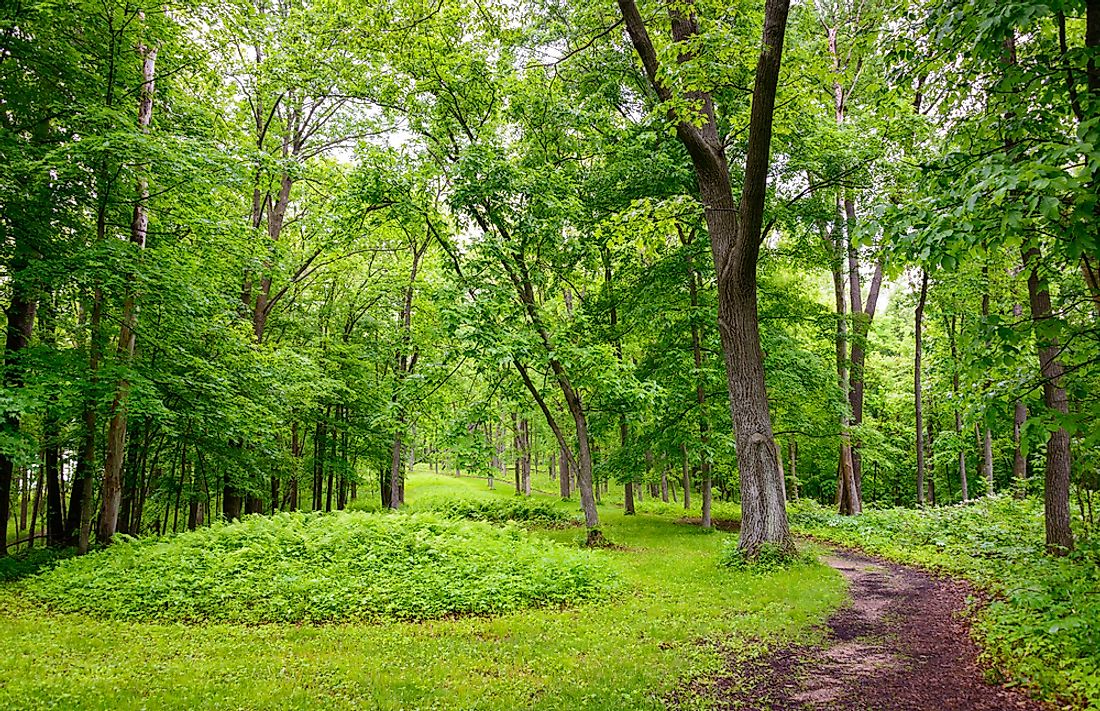 Fourteen miles of trails run through the Effigy Mounds National Monument.