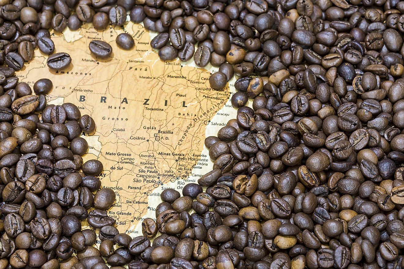 Brazil is the world's largest exporter of coffee. Image credit: MattiaATH/Shutterstock.com