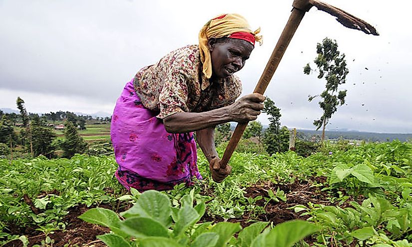 In many countries across Africa, subsistence farming is practiced by the rural people of the nation for survival.
