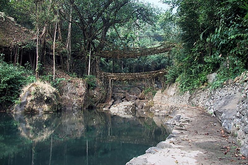 Umshiang Double Decker root bridge near Cherrapunjee, Meghalaya, India.