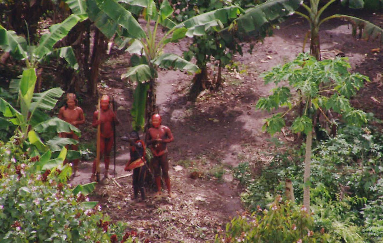 The Brazilian tribes have been a complete unknown to researchers for years now, and mostly still are. Image credit: survivalinternational.org