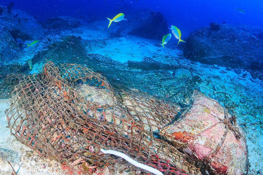 Ghost nets are a hazard to marine wildlife such as corals, fishes, and turtles. 
