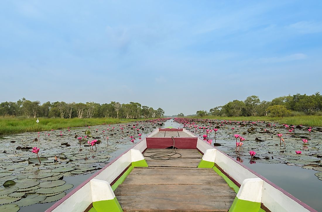 Ramsar wetlands usually serve as important habitats for a large number of resident and migratory birds.