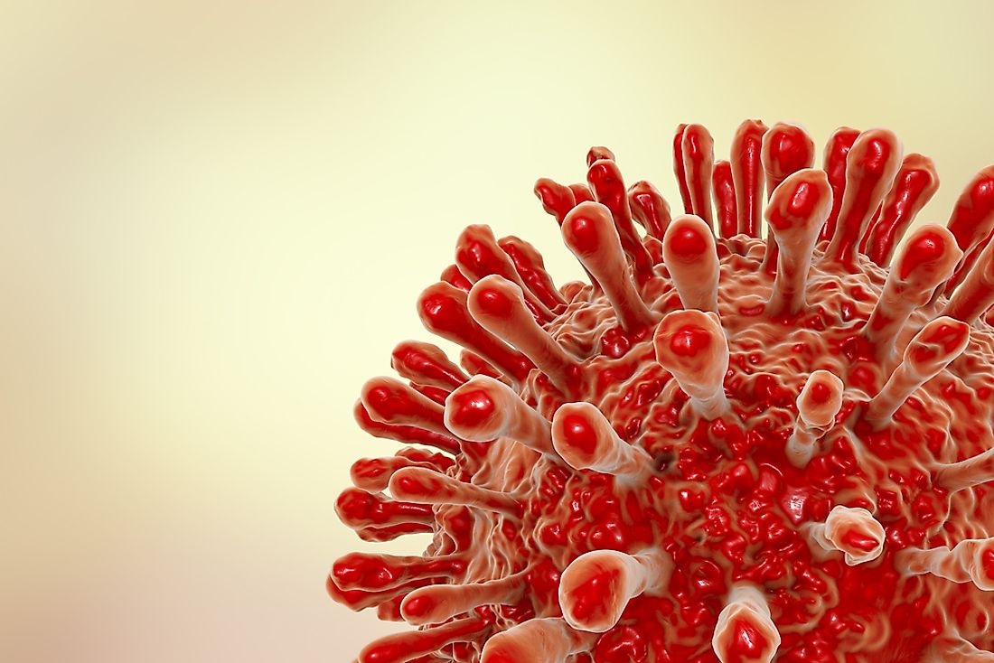 A 3D rendering of the HIV virus. 