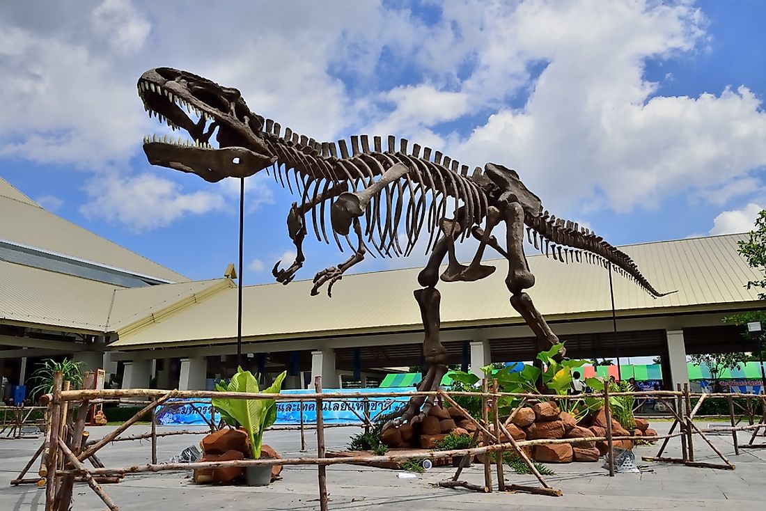 Giganotosaurus carolinii was one of the largest carnivores on land. Editorial credit: watthanachai / Shutterstock.com