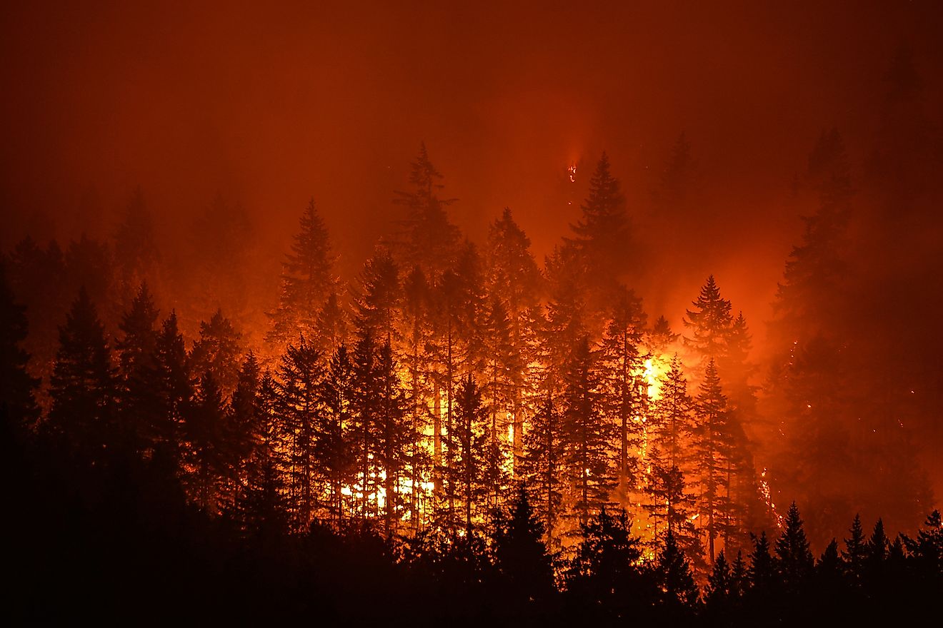Eagle Creek Wildfire in Columbia River Gorge, Oregon. Image credit: Christian Roberts-Olsen/Shutterstock.com