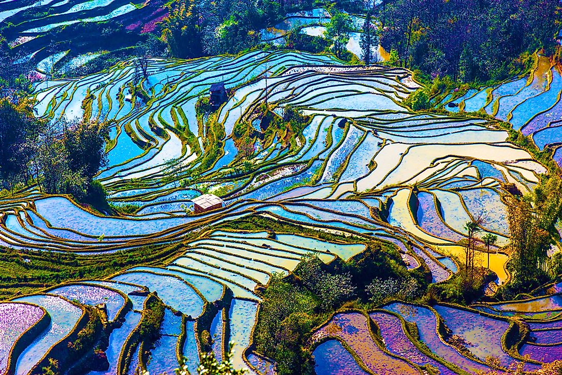 The unique rice terraces of Yuanyang County, China. 