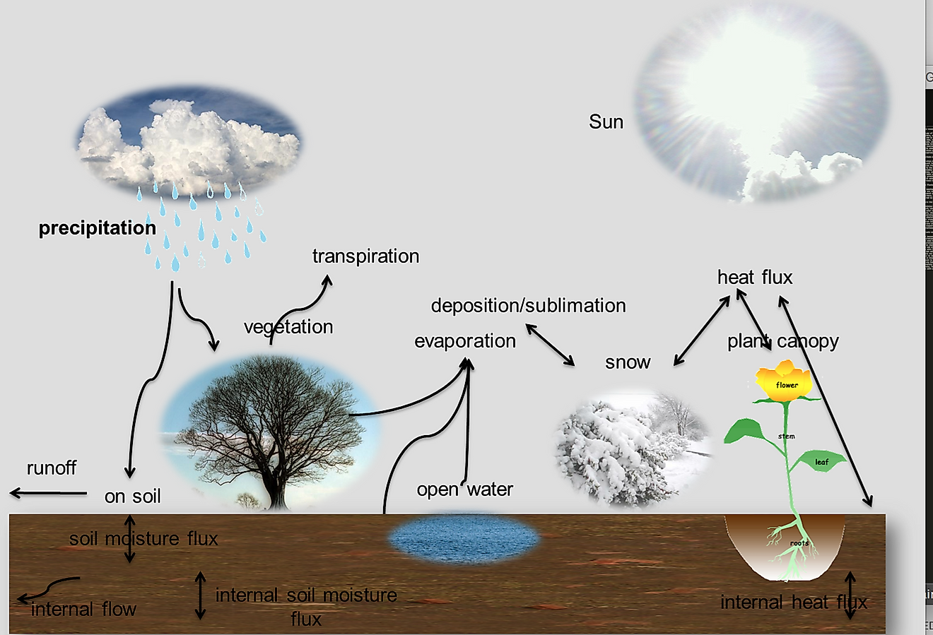 Evapotranspiration is an Integral Part of the Hydrological Cycle