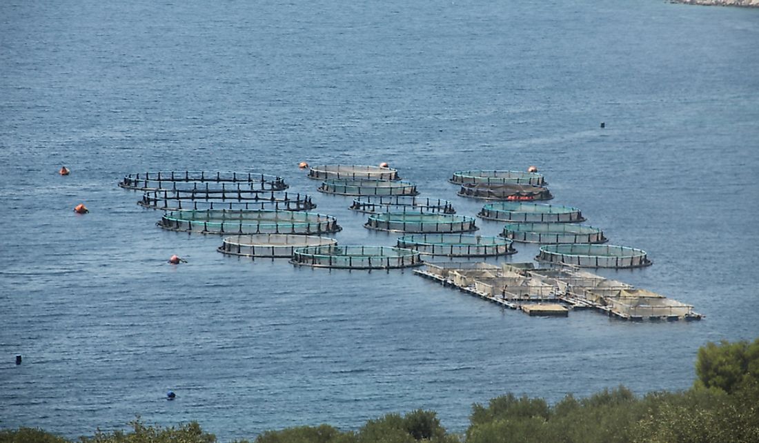 Fish farm off the coast of Albania.