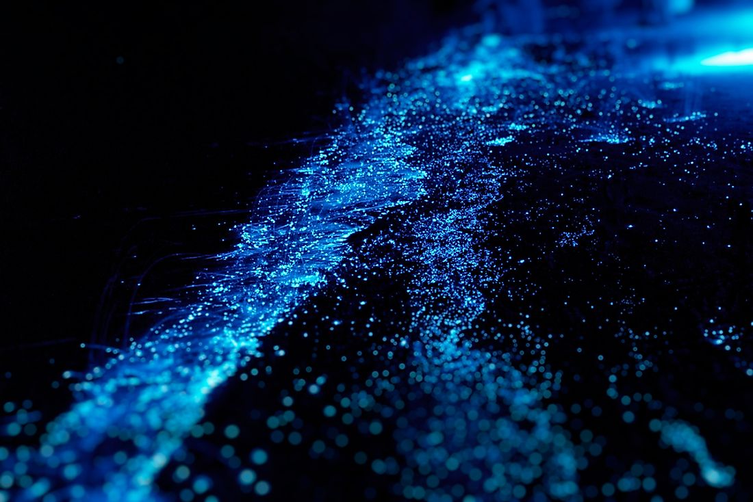 The bioluminescence waves of Vaadhoo Island. 