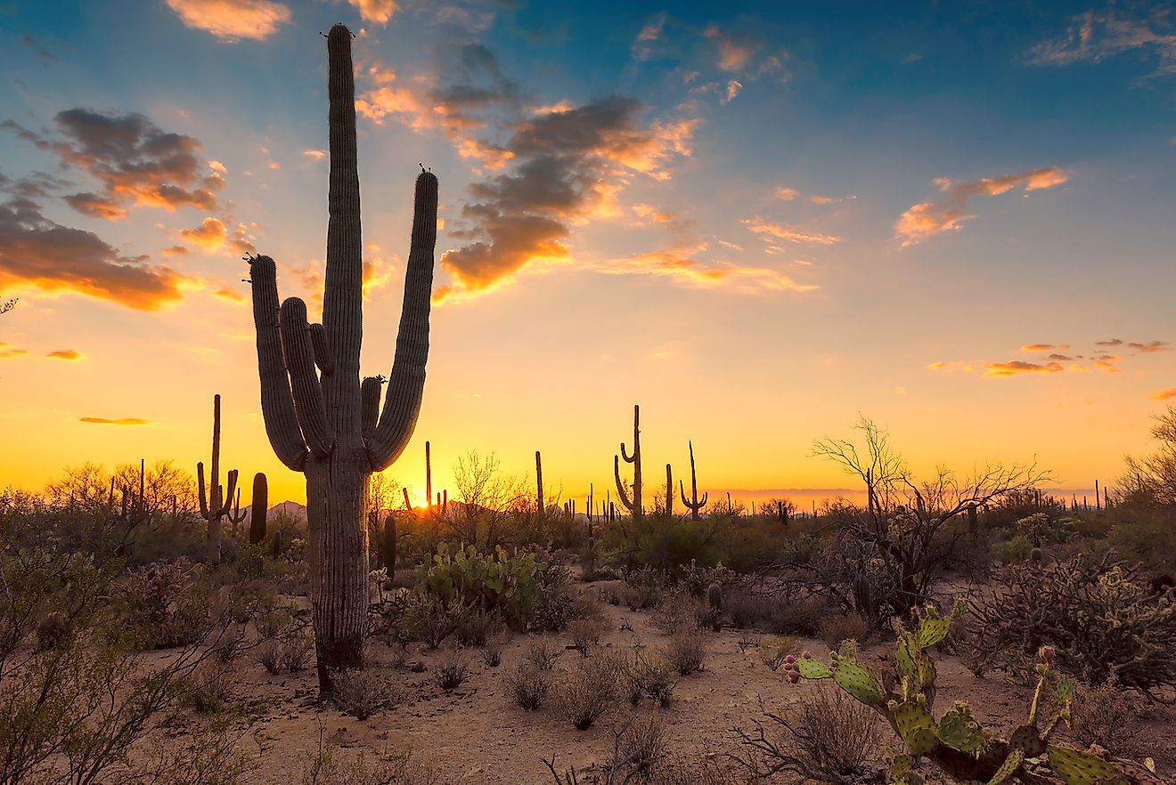 Sunset in the Wild West in the Sonoran Desert near Phoenix. Image credit: Lucky-photographer/Shutterstock.com