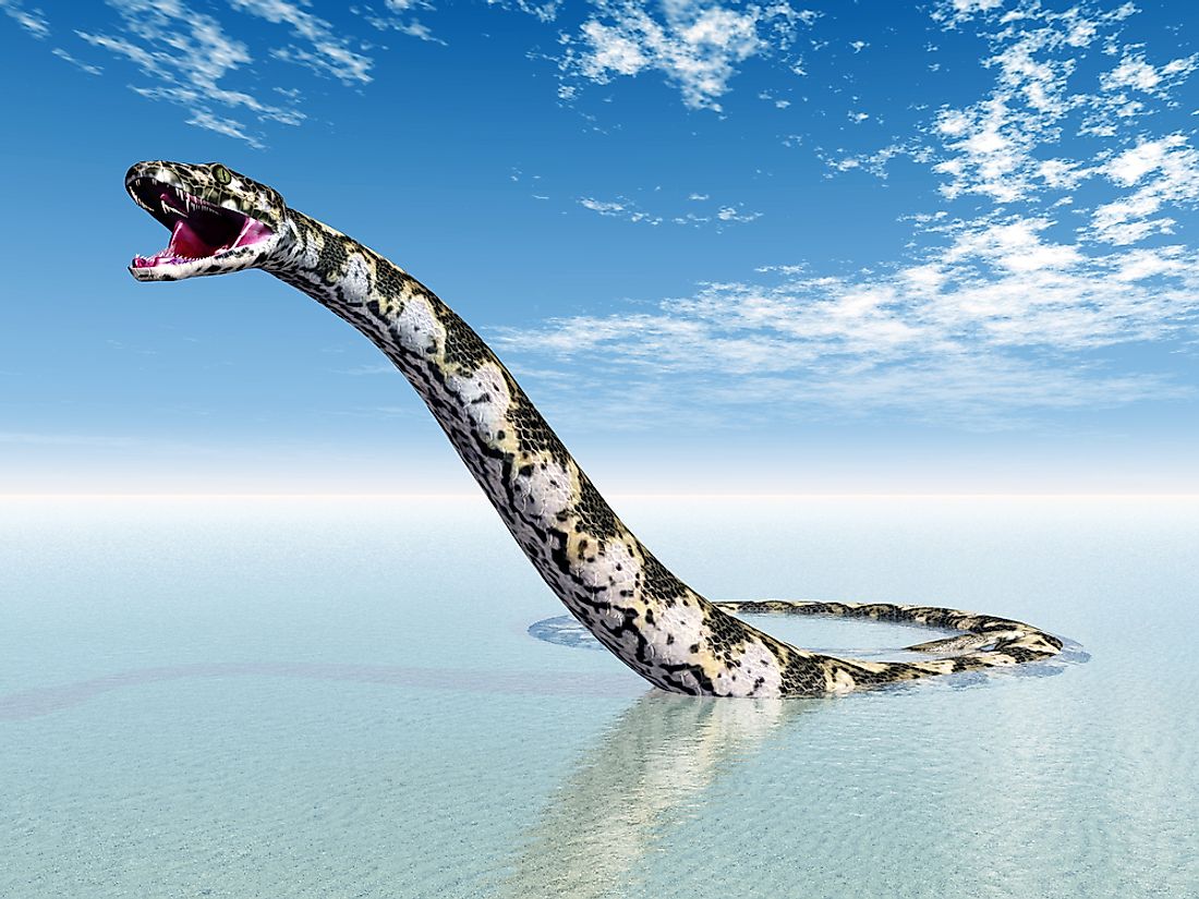 A 3D rendering of the titanoboa. 