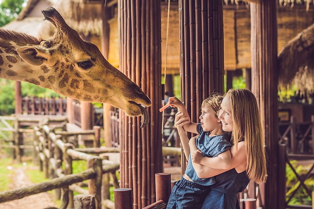 Not all zoos are created equal.