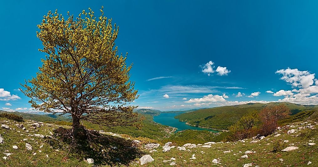Hillside view of the fringes of Mavrovo Lake in Mavrovo National Park along the Albanian border with Macedonia.
