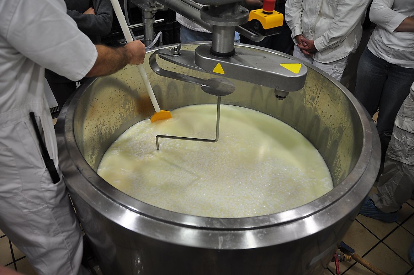 Separation Of The Curd And Whey