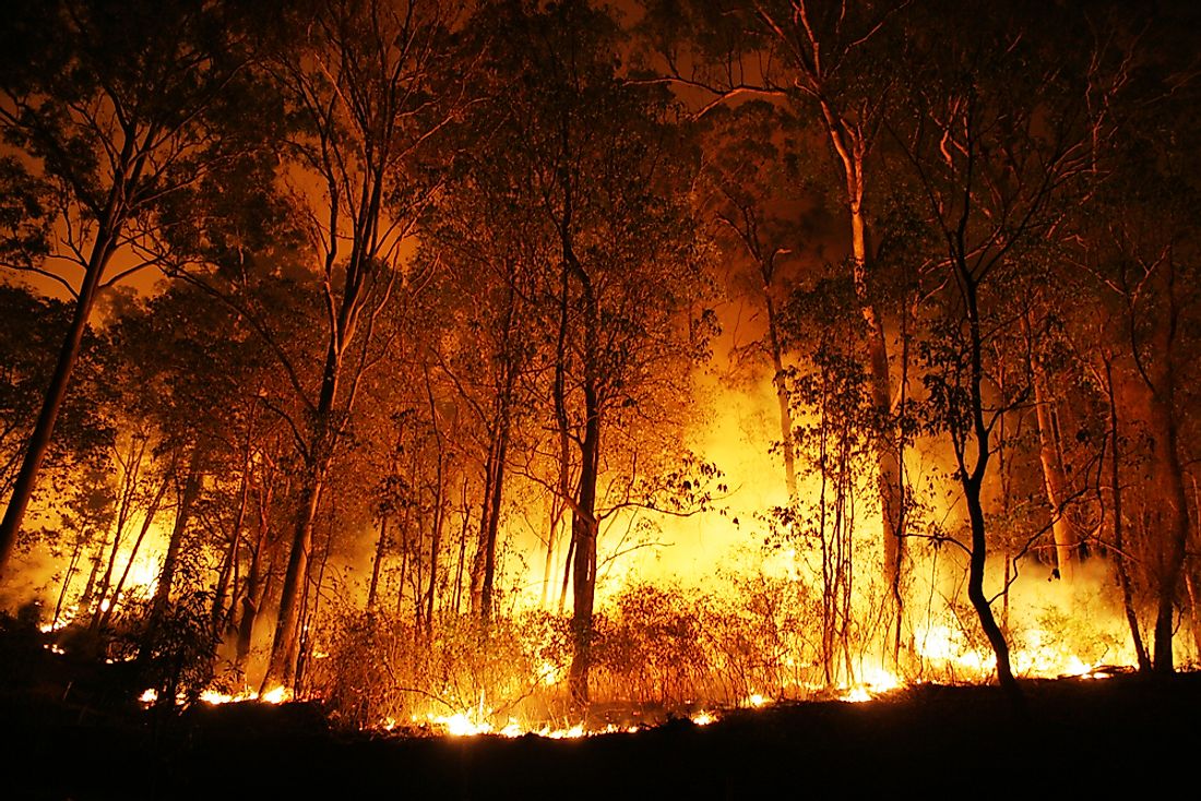 Bushfires are often incredibly destructive. 