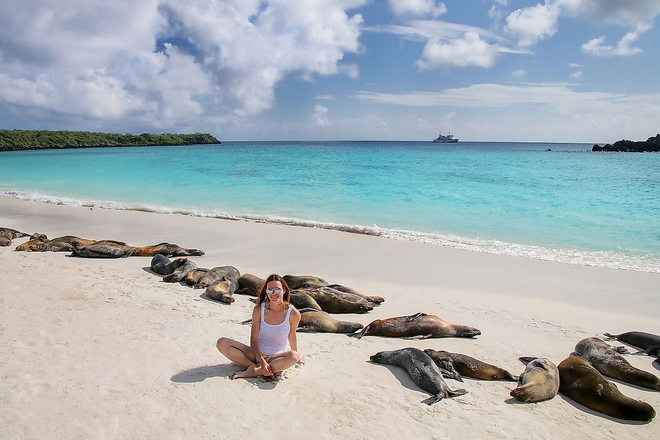 A pristine white beach with seals in the Galapagos. Image credit: Don Mammoser/Shutterstock.com