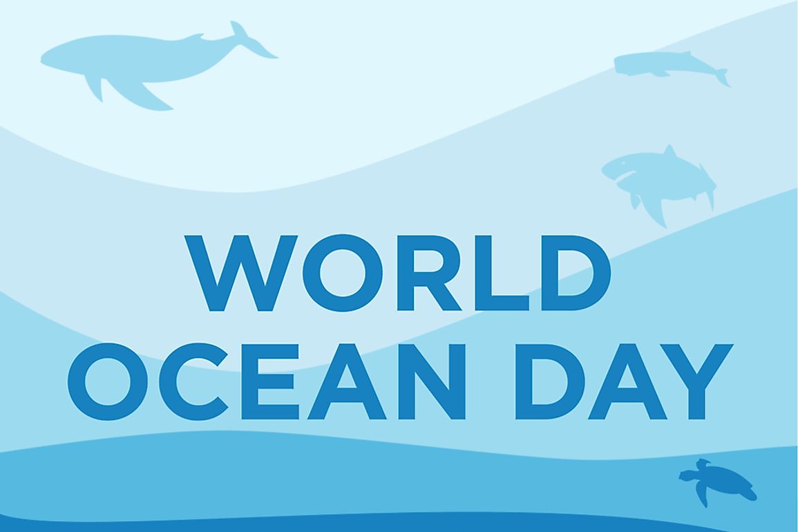 World Oceans Day has been celebrated since 1992, and acknowledged by the UN since 2008.