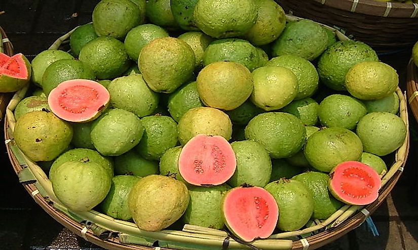 Guava being sold at a fruit stall in Pasar Baru, Jakarta, Indonesia