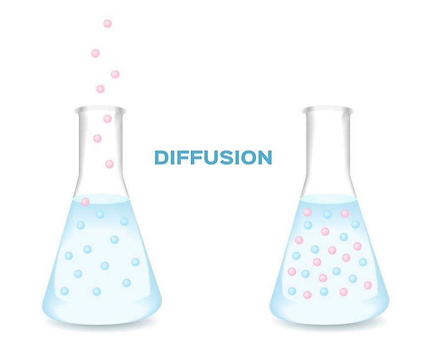   The diffusion process results in a uniform distribution of particles.