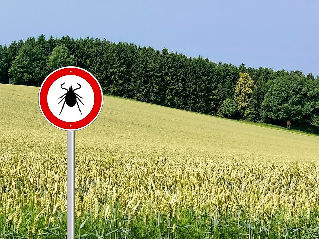A sign warning of possible ticks in the area. 
