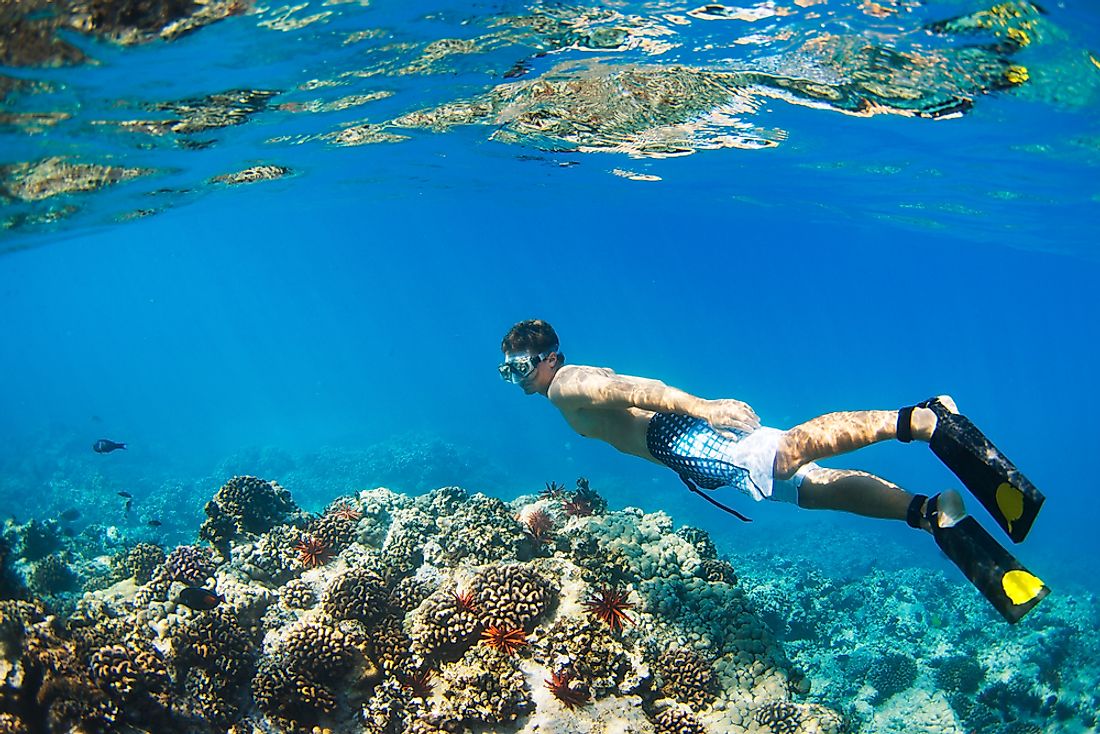 Snorkeling around a tropical reef in Hawaii. 