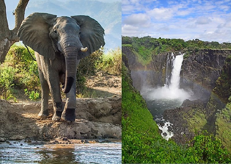 Elephants and waterfalls make for breathtaking sights in Zimbabwe's Zambezian Mopane Woodlands.