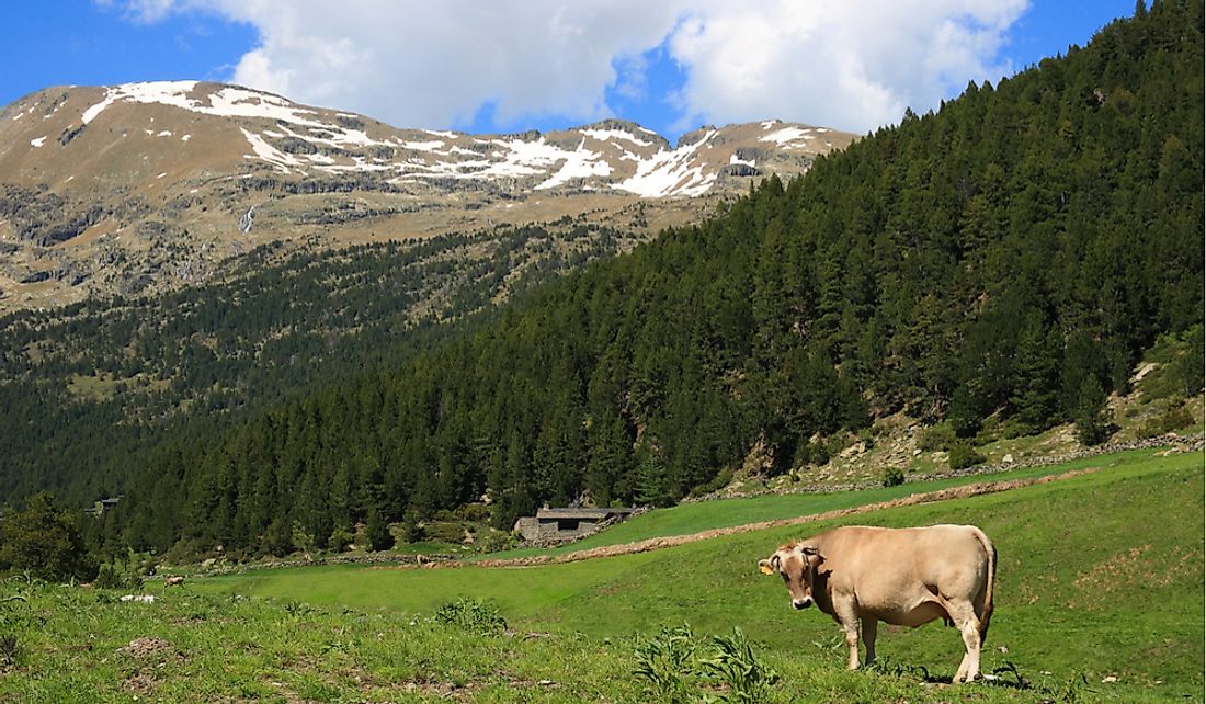 Andorra's mountainous regions are used for livestock farming.