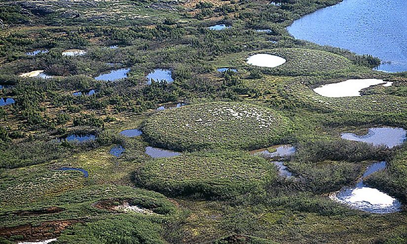 A group of well developed palsas as seen from above. Ice lenses are responsible for palsa growth.