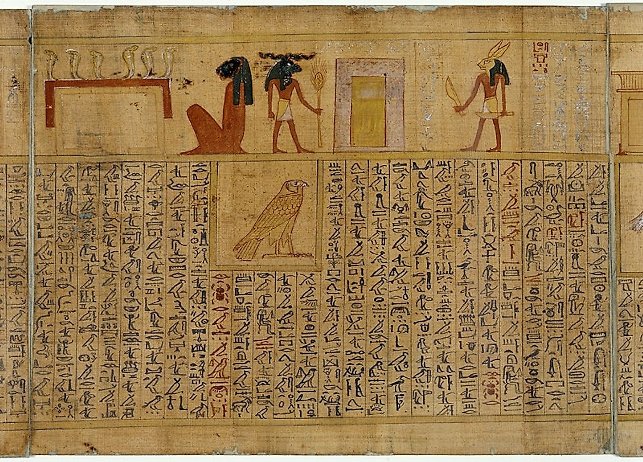 Egypt Papyrus. Image credit: National Museum in Warsaw/Public domain