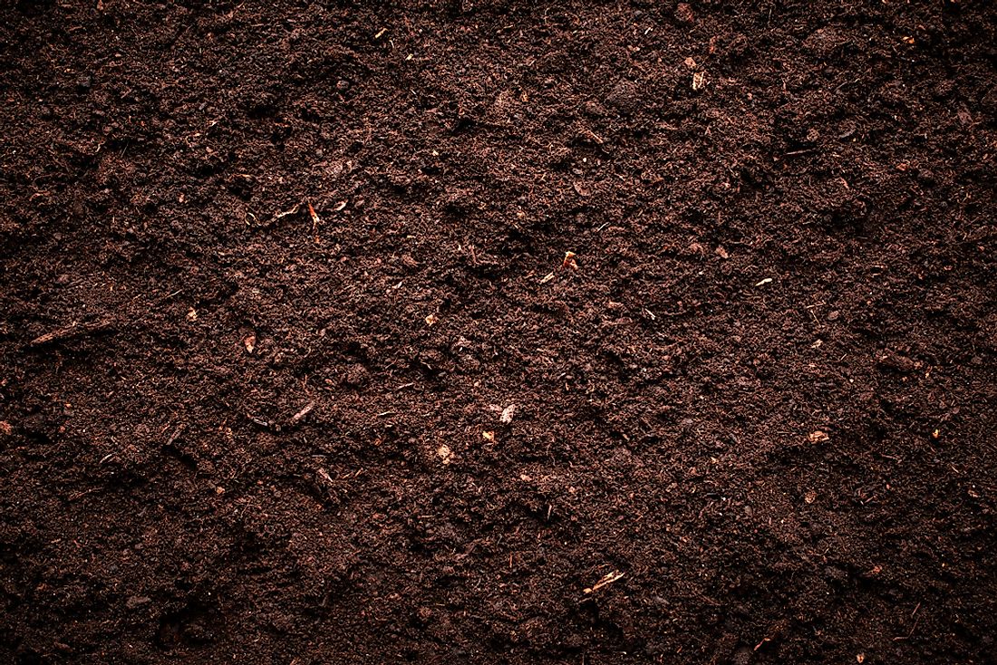 Soil is composed of a mix of different things. 