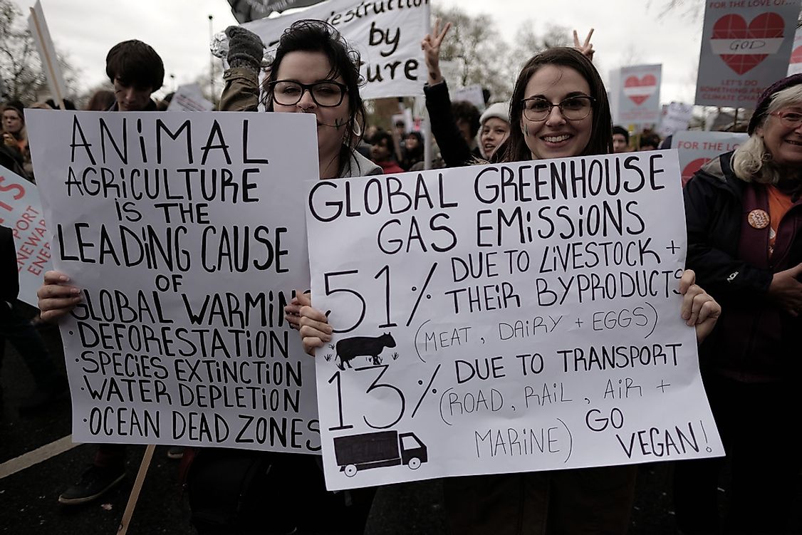 Activists protesting against animal agriculture.