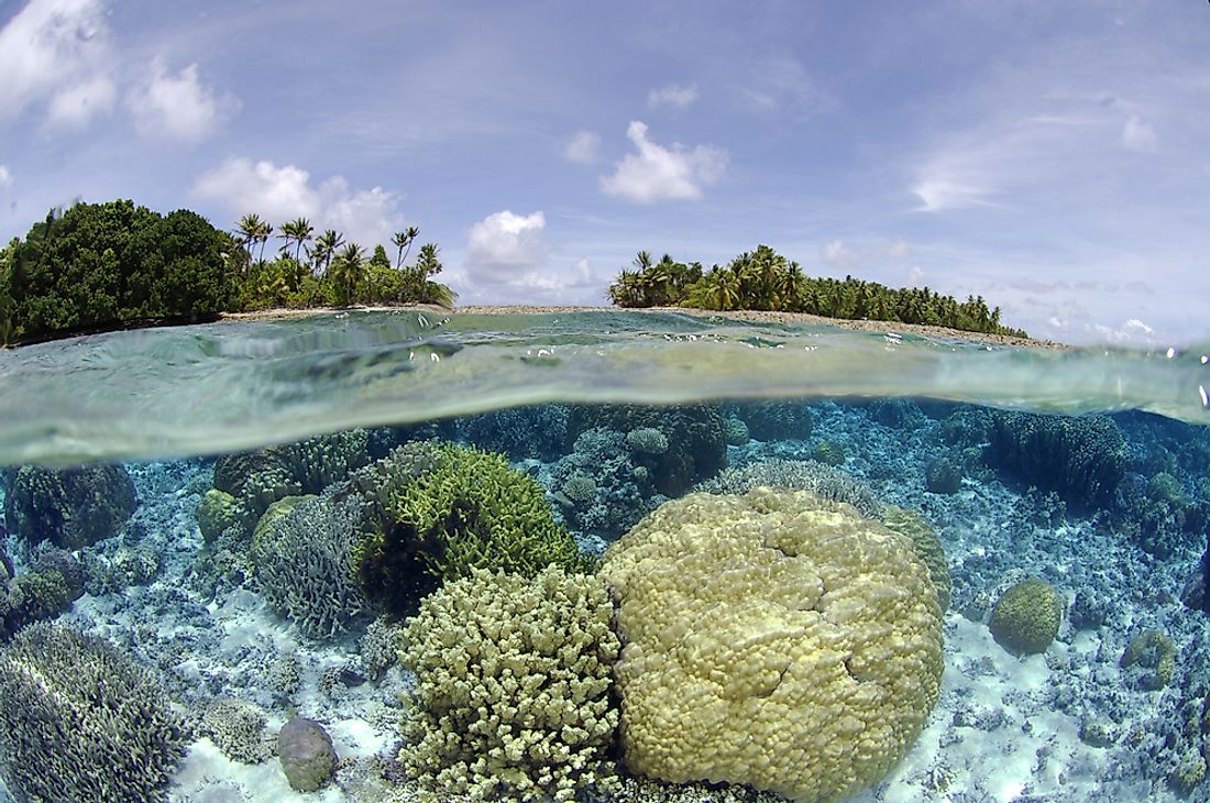 A coral reef is seen here near Majuro, Marshall Islands. 