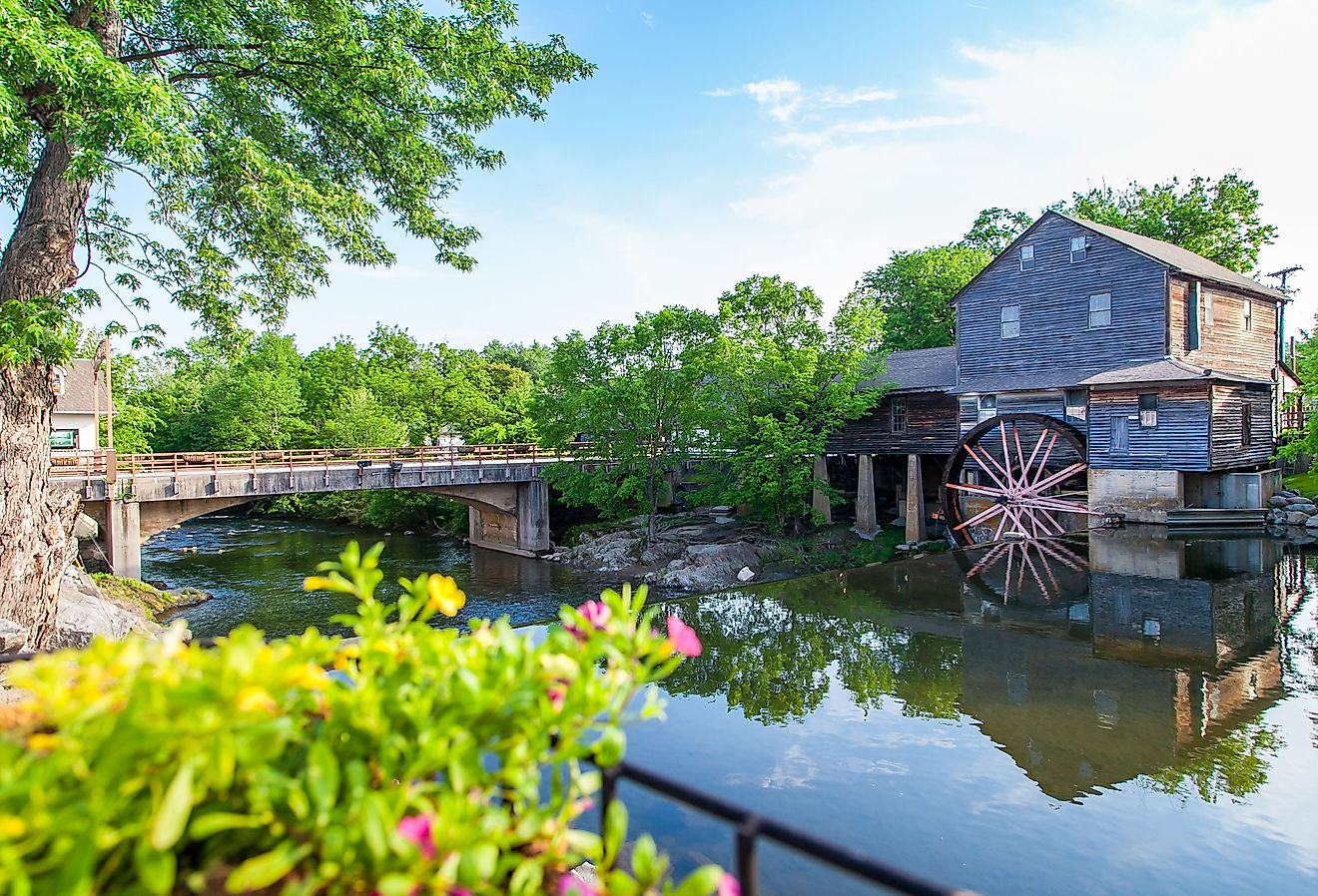 Flowers blooming at the Old Mill in Pigeon Forge, Tennessee.