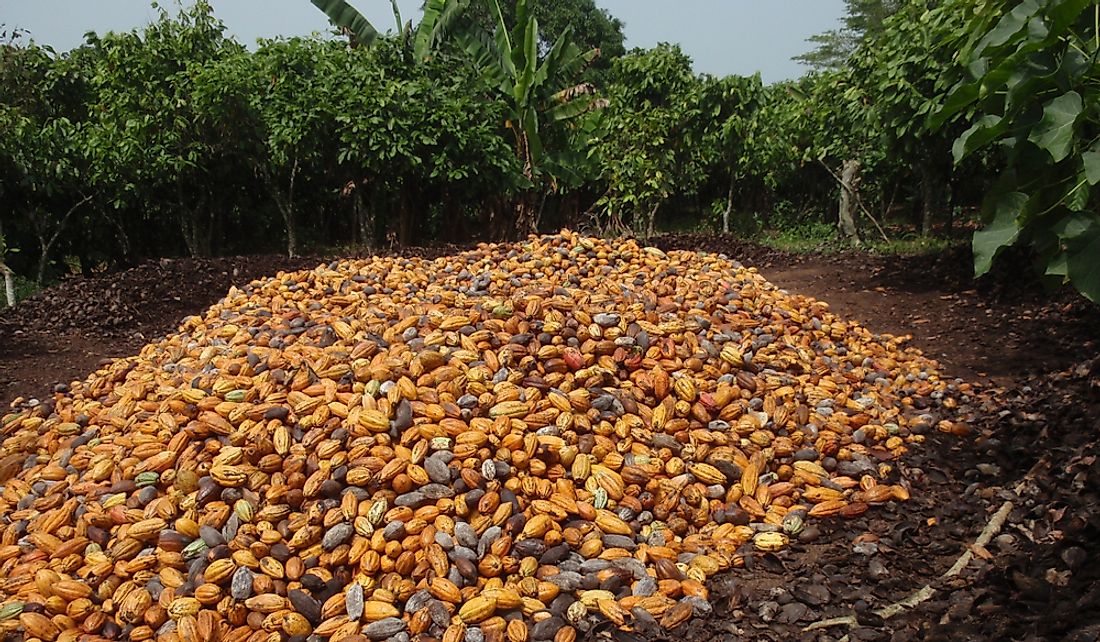 Ivory Coast is the world's leading producer of cocoa beans.