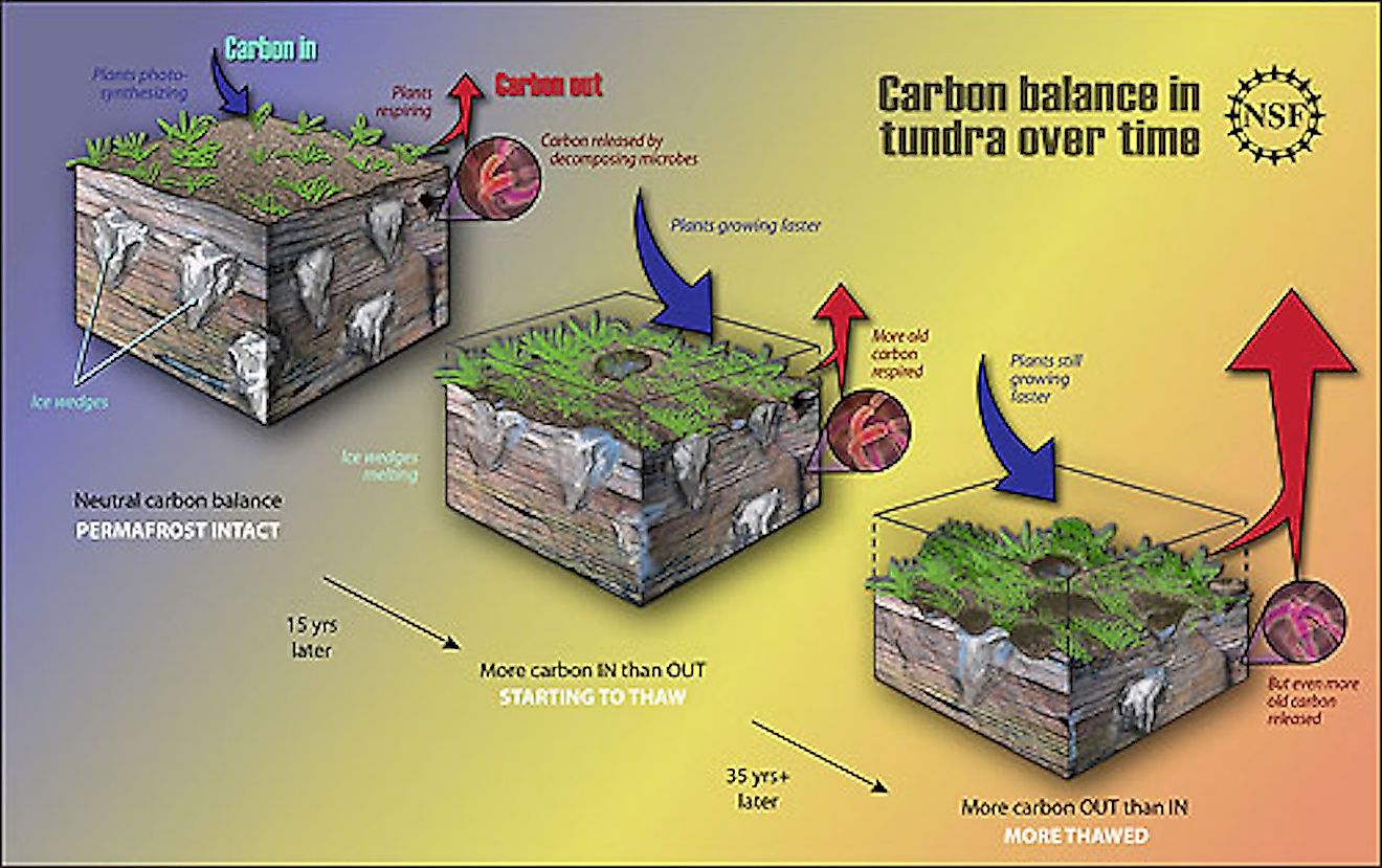 A study by NSF-supported researchers has helped define the potentially significant contribution of permafrost thaw to atmospheric concentrations of carbon, which have already reached unprecedented levels. Image credit: National  Science Foundation/Public domain