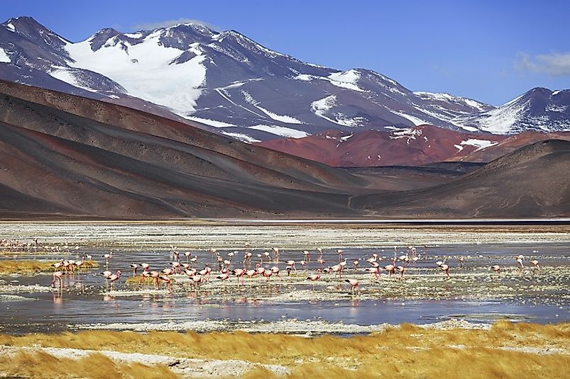 Black lagoons and their flamingos and other wetland birds lie at the foot of Monte Pissis.