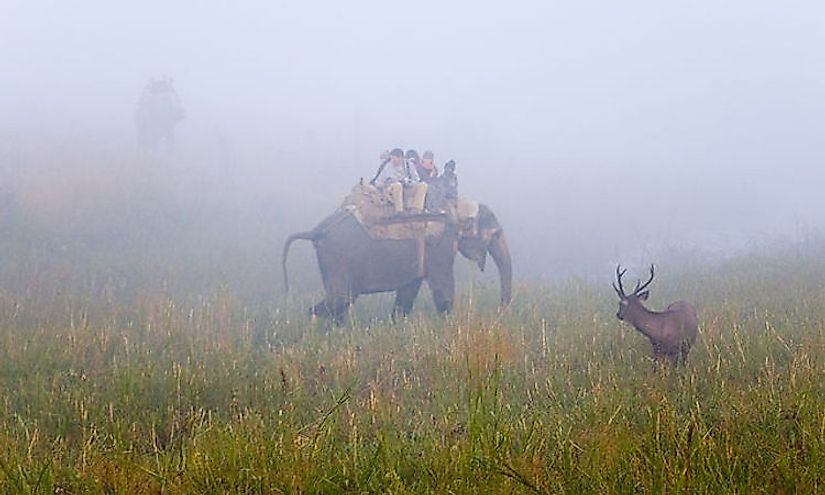 The Jim Corbett National Park is India's oldest national park and one of the most famous in the world.